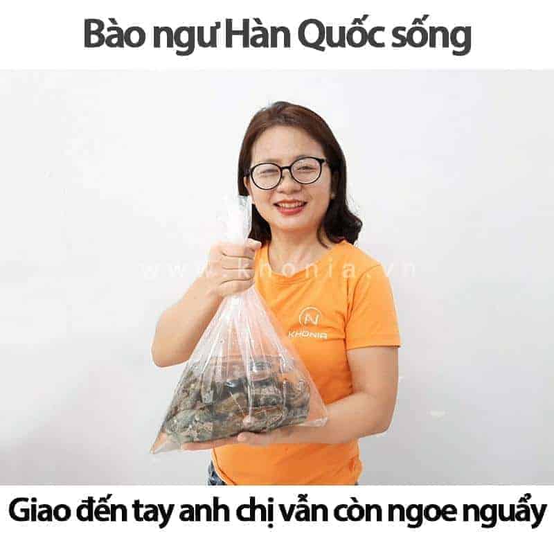 Bào Ngư Bán Ở Đâu Tphcm? Giá Bao Nhiêu? 1 bao-ngu-ban-o-dau-tphcm