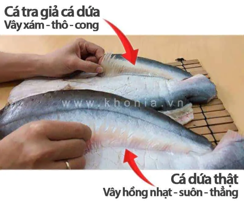 Mua-Kho-Ca-Dua-O-Dau