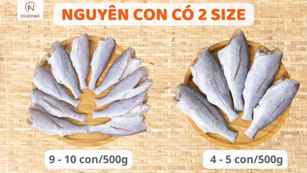 Cá Đù 1 Nắng 9 2 LOẠI ĐÙ NGUYÊN CON