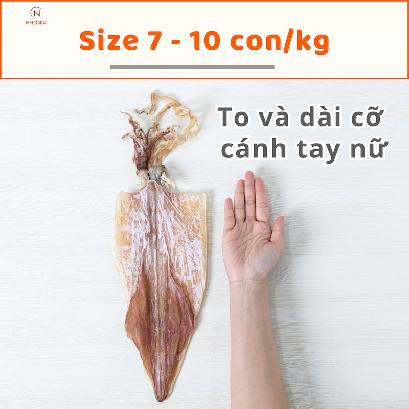 Mực Khô Ngon (Mực Câu) - Ảnh 9