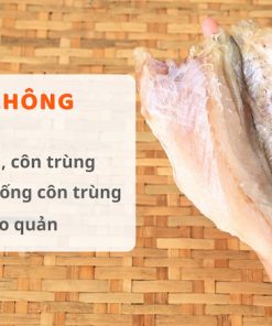 Alternative view of Cá Đù 1 Nắng