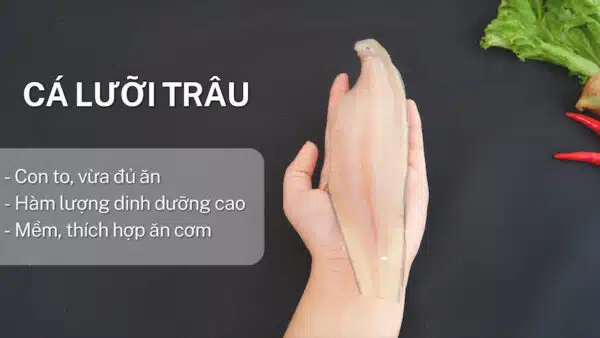2911 (13)
