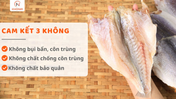 Cá Đù 1 Nắng 1 3 KHÔNG CÁ ĐÙ 1 NẮNG - 5T8A9769