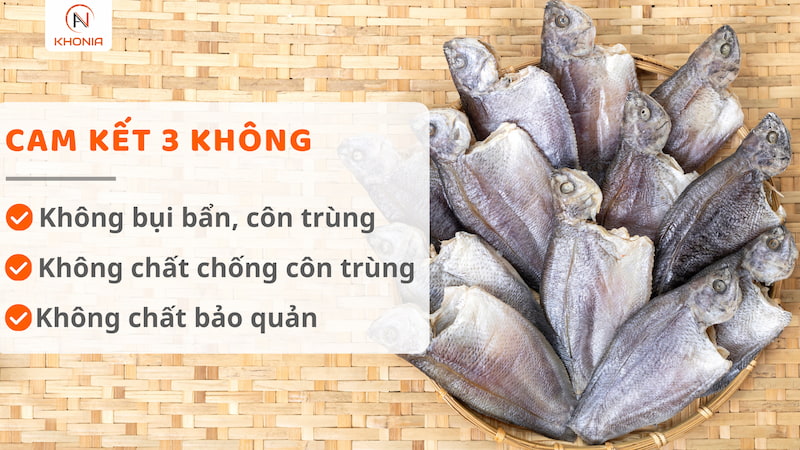 3 KHÔNG SẶC 3N