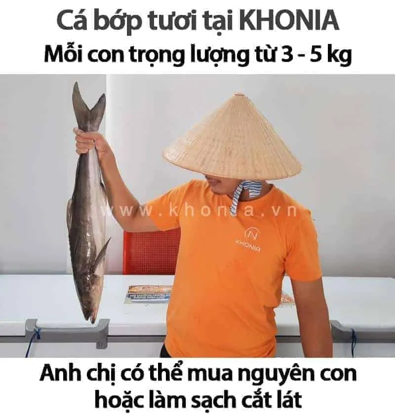 Mua Cá Bớp Ở Đâu