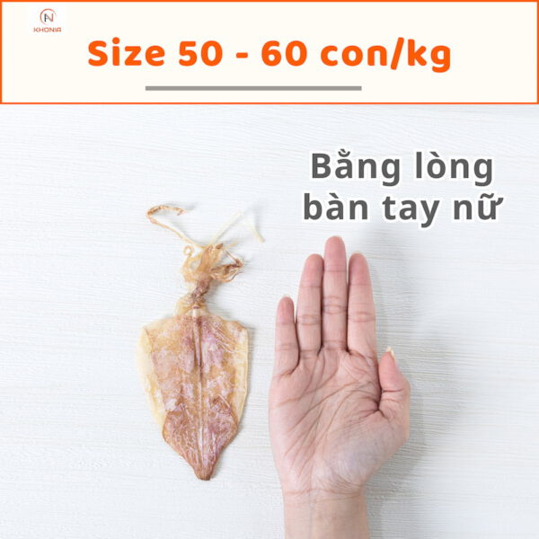 Mực Khô Ngon (Mực Câu) 12 5 (2)