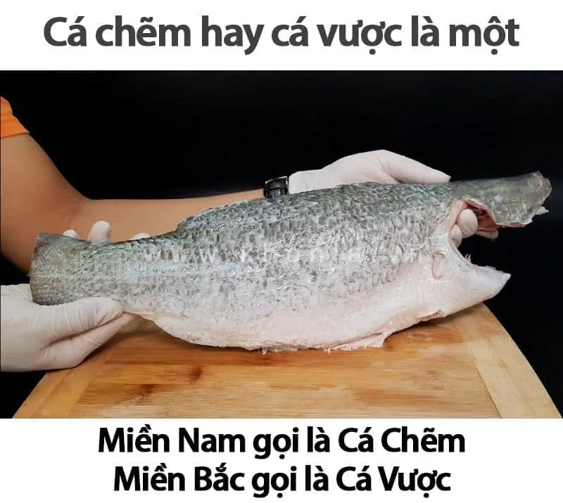 Ca-Chem-Gia-Bao-Nhieu-1Kg
