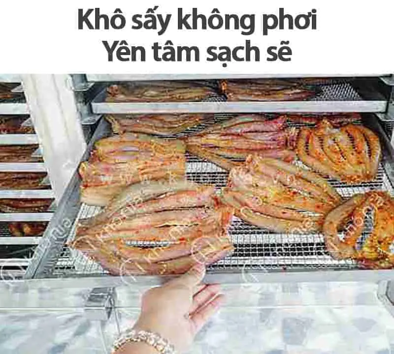 Gia-Kho-Ca-Loc-10023