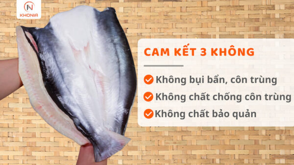 AVT CÁ DỨA 1 NẮNG