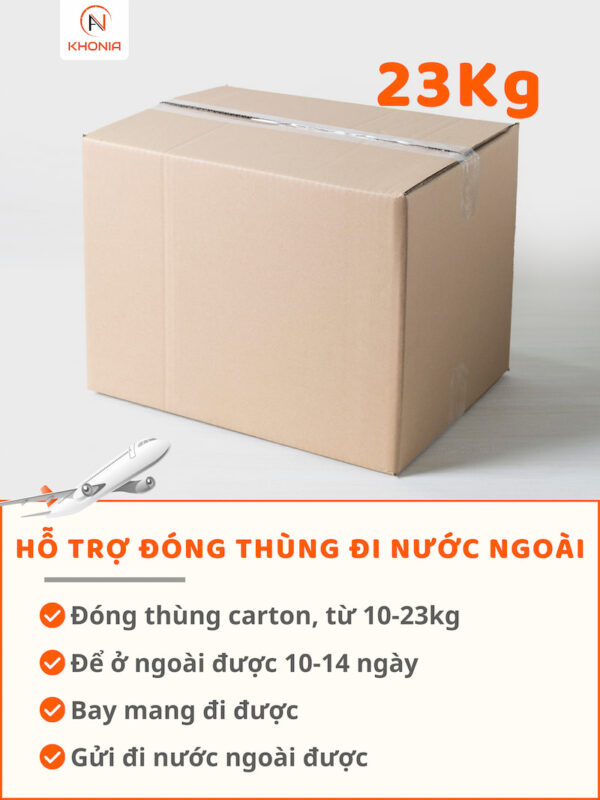 Khô Cá Lóc Sấy - Vị Vừa Ăn 17 CARTON (2)