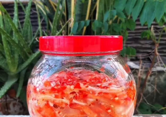 Dong-Goi-Thanh-Pham