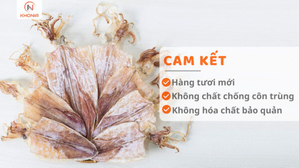 Mực Khô Ngon (Mực Câu) 1 KHÔ MỰC CÂU