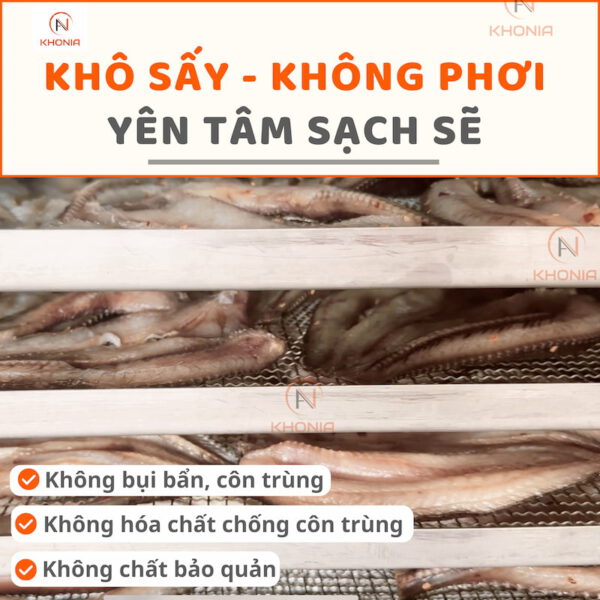 Khô Cá Lóc 1 Nắng ( Gói 500g ) 4 SẤY CÁ LÓC (1)