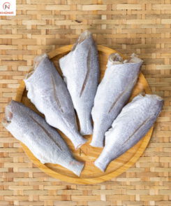 THIẾT KẾ SẢN PHẨM KHONIA - PHÔNG VUÔNG (2)