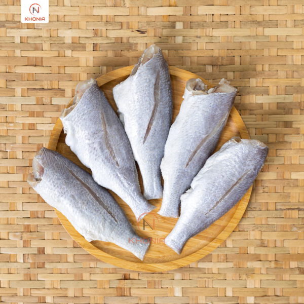 THIẾT KẾ SẢN PHẨM KHONIA - PHÔNG VUÔNG (2)