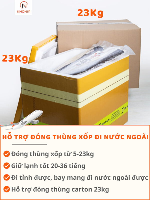Mực 1 Nắng Vũng Tàu (Trọng lượng 1kg) 14 THÙNG XỐP + CARTON (5)