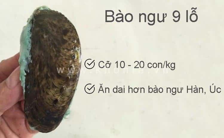 An Bao Ngu 3