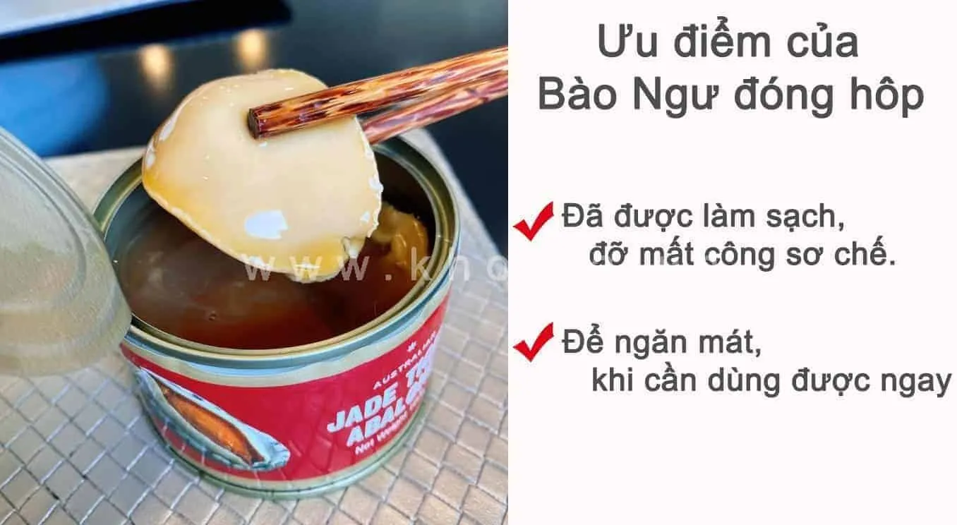 Bao-Ngu-Dong-Hop-5