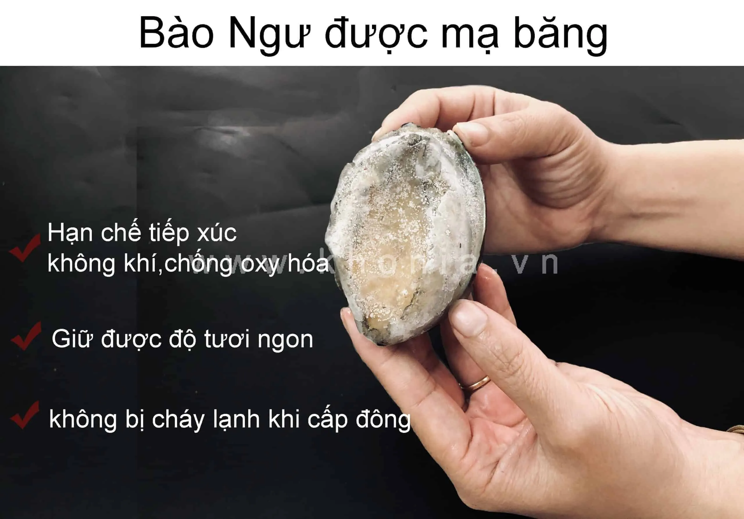 Bao-Ngu-Han-Quoc