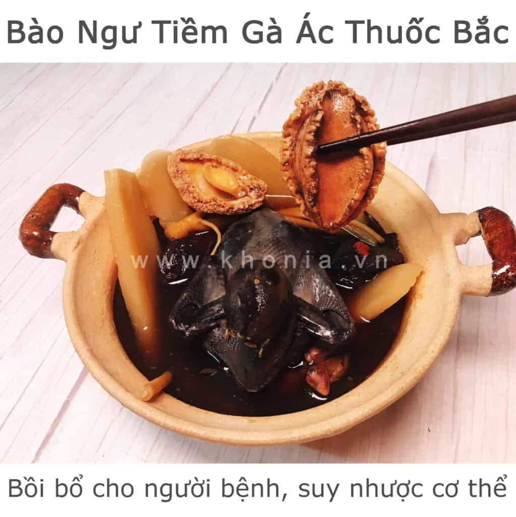 Bào Ngư Sống Bao Nhiêu 1kg? Mua Ở Đâu? - KHONIA