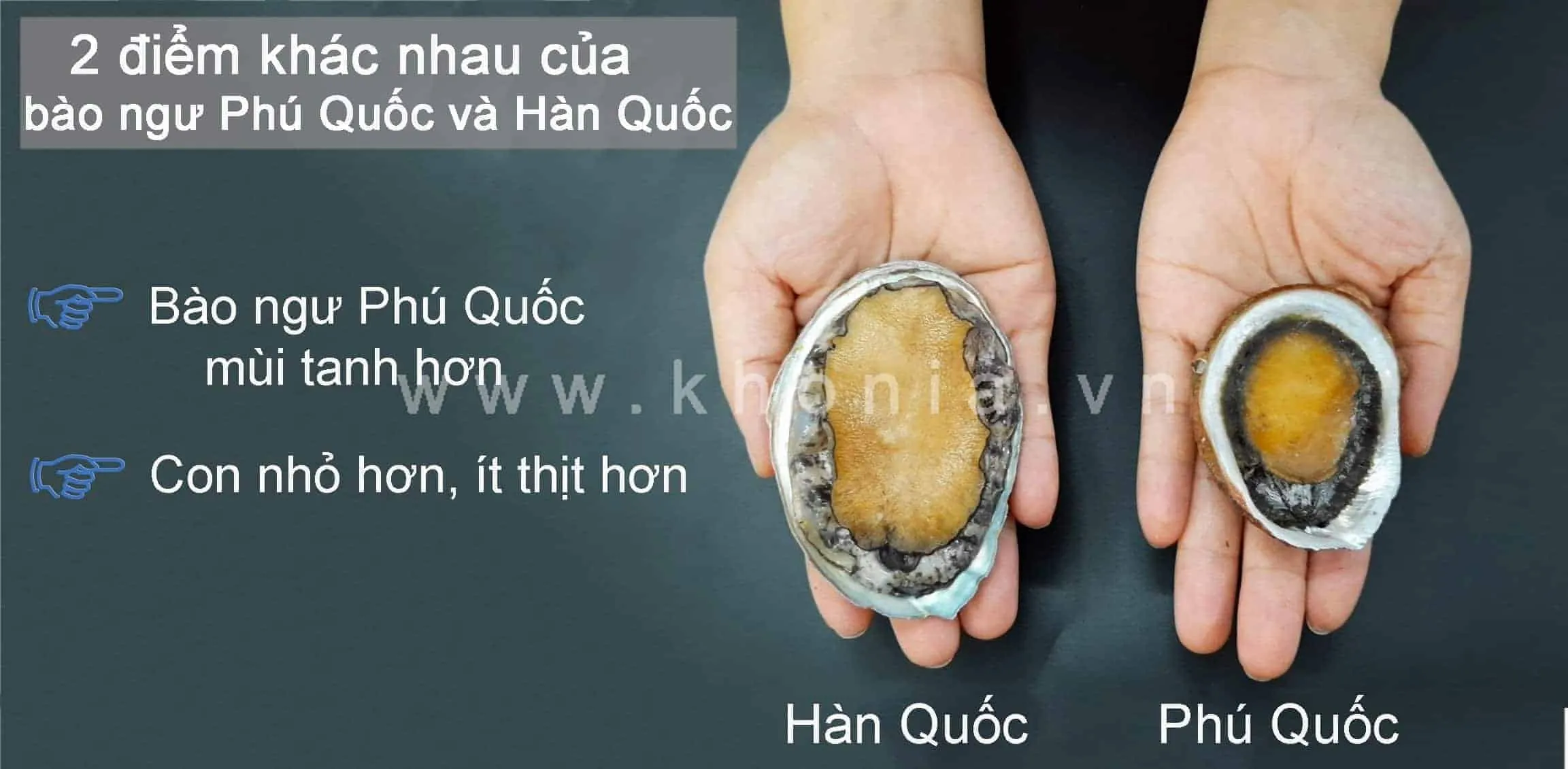 Bao-Ngu-Phu-Quoc-6
