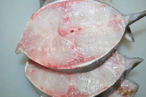 cá bớp giá bao nhiêu tiền 1kg ca-bop-gia-bao-nhieu-tien-1kg