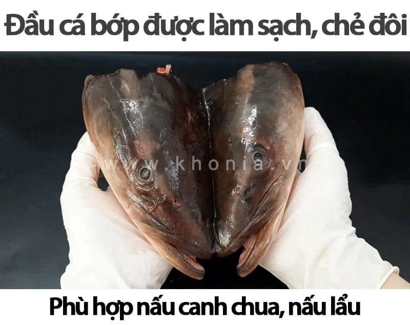 Cá Bớp Giá Bao Nhiêu 1Kg