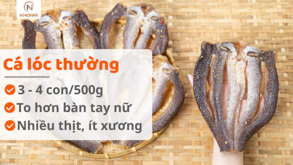 Khô Cá Lóc Sấy - Vị Vừa Ăn 12 lOC THUONG