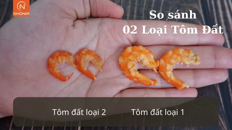 Tom Dat Kho Ca Mau 3