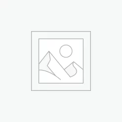 Nơi nhập dữ liệu